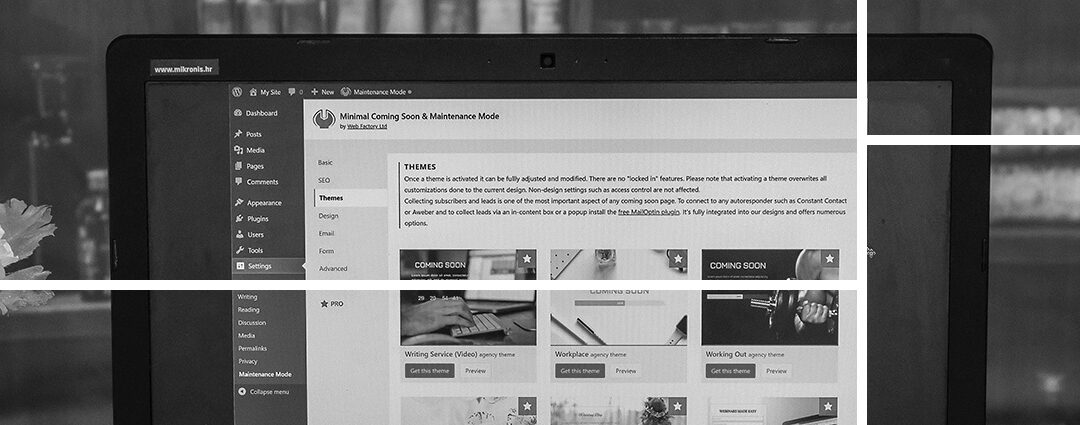 5 Reasons to Choose WordPress in South Africa | Adclick Africa