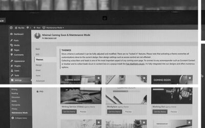 5 Reasons to Choose WordPress in South Africa