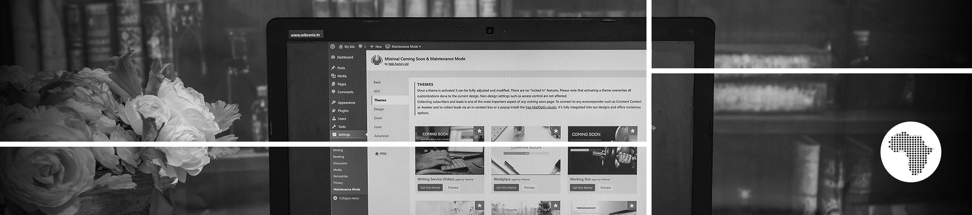 5 Reasons to Choose WordPress in South Africa | Adclick Africa 5 Reasons to Choose WordPress in South Africa | Adclick Africa
